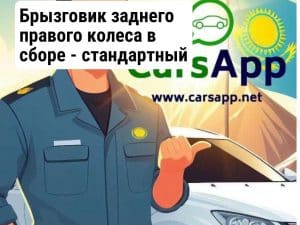 Брызговик заднего правого колеса в сборе - стандартный черный  12956876-00