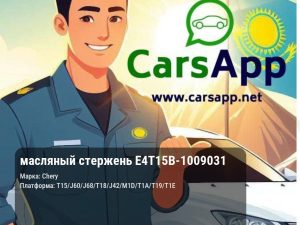 масляный стержень E4T15B-1009031