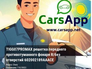 Chery Tiggo 7 Pro Max решетка переднего противотуманного фонаря R/без отверстий 602002189AAACE