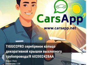 Chery Tiggo 2 Pro серебряное кольцо декоративной крышки выхлопного трубопровода/R 602002428AA